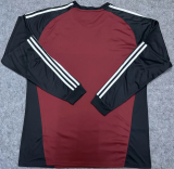 Spain Goalkeeper 2 Star Long Sleeve Fans 1:1 Quality Soccer Jersey 26/27（2026）