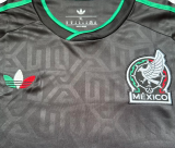 Mexico Third Away Long Sleeve  Fans 1:1 Quality Soccer Jersey 26/27（2026）