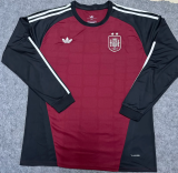 Spain Goalkeeper 2 Star Long Sleeve Fans 1:1 Quality Soccer Jersey 26/27（2026）
