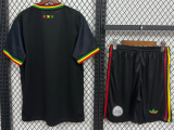 Ajax Special Edition Adult Set 1:1 Quality Soccer Jersey 26/27