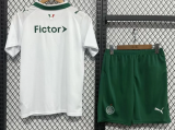 Palmeiras Away Adult Set 1:1 Quality Soccer Jersey 26/27