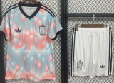 Belgium Away Adult Set 1:1 Quality Soccer Jersey 26/27（2026）