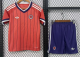 Scotland Away Adult Set 1:1 Quality Soccer Jersey 26/27（2026）