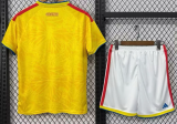 Colombia Home Adult Set 1:1 Quality Soccer Jersey 26/27（2026）