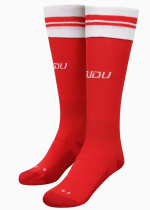 Wales Home Soccer Socks 26/27 Wales Home Soccer Socks 26/27