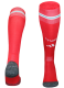 Wales Home Soccer Socks 26/27