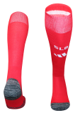 Benfica Home Soccer Socks 26/27