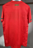 Portugal Home Retro Player 1:1  Quality Soccer Jersey 2010