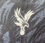 Crystal Palace Away Player 1:1 Quality Soccer Jersey 26/27