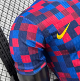Barcelona Special Edition Player 1:1 Quality Soccer Jersey 26/27
