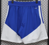 Juventus Special Edition Blue Player 1:1 Quality Soccer Shorts 26/27