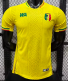 Mali Away Player 1:1 Quality Soccer Jersey 26/27（2026）