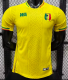 Mali Away Player 1:1 Quality Soccer Jersey 26/27（2026）