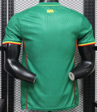 Mali Third Away Player 1:1 Quality Soccer Jersey 26/27（2026）