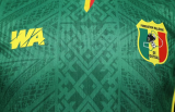 Mali Third Away Player 1:1 Quality Soccer Jersey 26/27（2026）