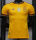 Spain Special Edition 2 Star Player 1:1 Quality Soccer Jersey 26/27（2026）
