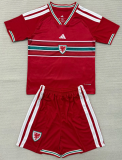 Wales Away Home 1:1 Quality Soccer Jersey 26/27（2026）