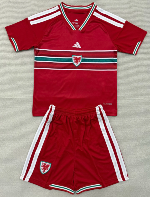 Wales Away Home 1:1 Quality Soccer Jersey 26/27（2026）