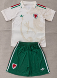 Wales Away Adult Set 1:1 Quality Soccer Jersey 26/27（2026）