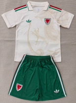 Wales Away Adult Set 1:1 Quality Soccer Jersey 26/27（2026）