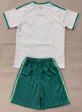 Northern Ireland Away Kids 1:1 Quality Soccer Jersey 26/27（2026）