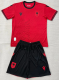 Albania  Home Adult Set 1:1 Quality Soccer Jersey 26/27（2026）