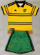 Jamaica Home Kids 1:1 Quality Soccer Jersey 26/27（2026）