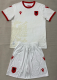 Albania  Away Adult Set 1:1 Quality Soccer Jersey 26/27（2026）