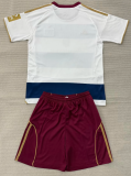 Hamburger SV Special Edition Kids 1:1 Quality Soccer Jersey 26/27