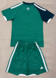 Northern Ireland Home Adult Set 1:1 Quality Soccer Jersey 26/27（2026）