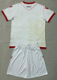 Albania  Away Adult Set 1:1 Quality Soccer Jersey 26/27（2026）