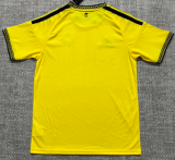 Al-Nassr FC Home Fans 1:1 Quality Soccer Jersey 26/27