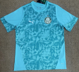 Palmeiras Training Suit Fans 1:1 Quality Soccer Jersey 26/27