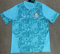 Palmeiras Training Suit Fans 1:1 Quality Soccer Jersey 26/27