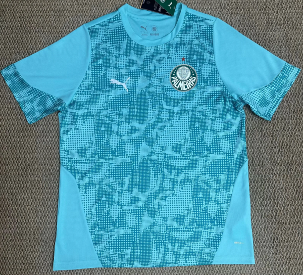 Palmeiras Training Suit Fans 1:1 Quality Soccer Jersey 26/27