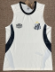 Santos Training Suit Fans 1:1 Quality Soccer Vest 26/27
