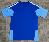 Cruzeiro Training Suit  Fans 1:1 Quality Soccer Jersey 26/27