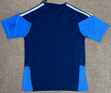 Cruzeiro Training Suit  Fans 1:1 Quality Soccer Jersey 26/27