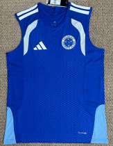 Cruzeiro Training Suit  Fans 1:1 Quality Soccer Vest 26/27