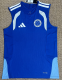 Cruzeiro Training Suit  Fans 1:1 Quality Soccer Vest 26/27