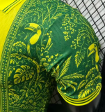 Brazil Special Edition Player 1:1 Quality Soccer Jersey 26/27（2026）