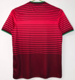 Portugal Home Retro Fans 1:1  Quality Soccer Jersey 2014