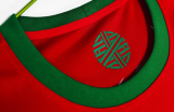 Portugal Home Retro Fans 1:1  Soccer Jersey 2012