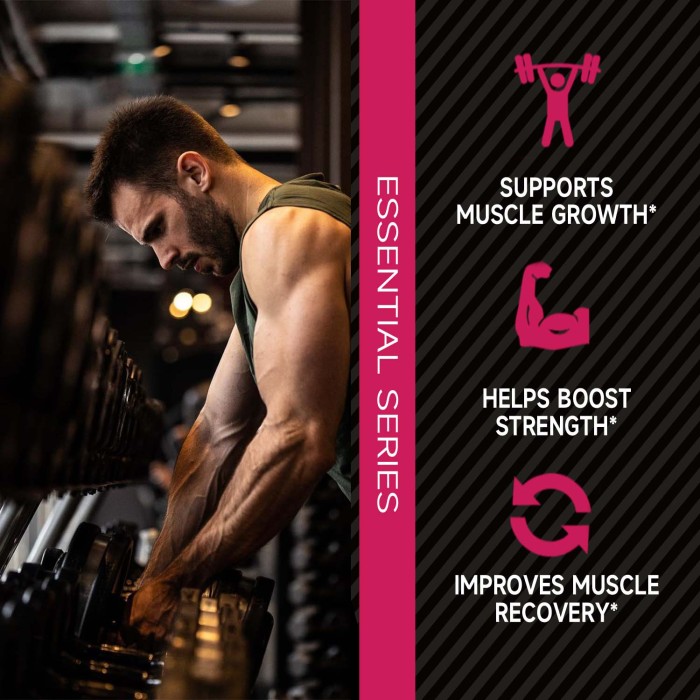 Ozmolts Creatine Monohydrate Powder Support Muscle Building Supplements for Women and Men Creatine Powder for Muscle Recovery Energy Booster Gym Supplement Strawberry 300g