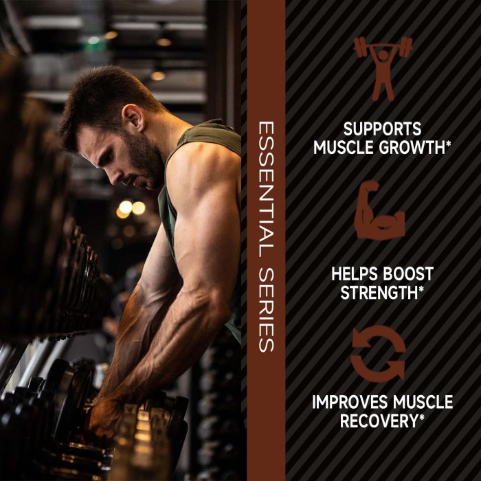 Ozmolts Mass Gainer Protein Powder Super Advanced Mass Protein Chocolate for Muscle Growth Supports Muscle Growth, Retention,and Lean Muscle Mass Rapid Workout Recovery Weight Gainer 2 Lbs