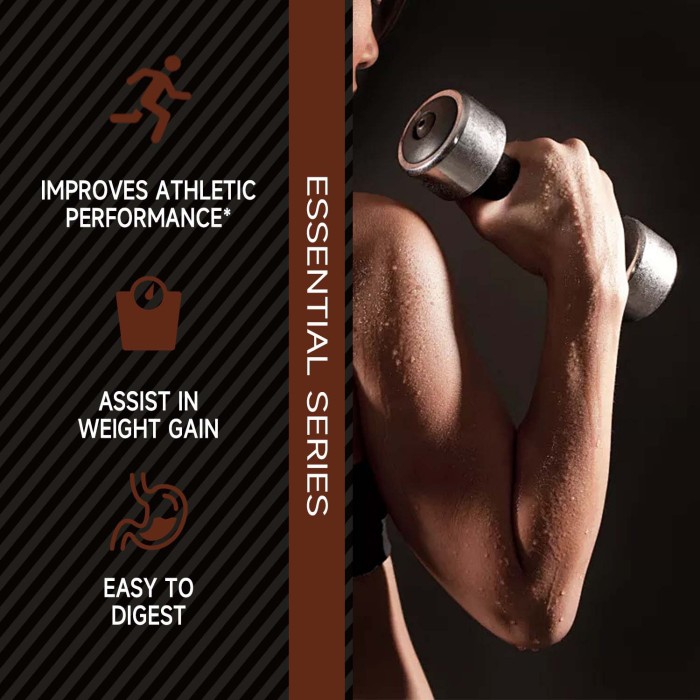 Ozmolts Mass Gainer Protein Powder Super Advanced Mass Protein Chocolate for Muscle Growth Supports Muscle Growth, Retention,and Lean Muscle Mass Rapid Workout Recovery Weight Gainer 2 Lbs