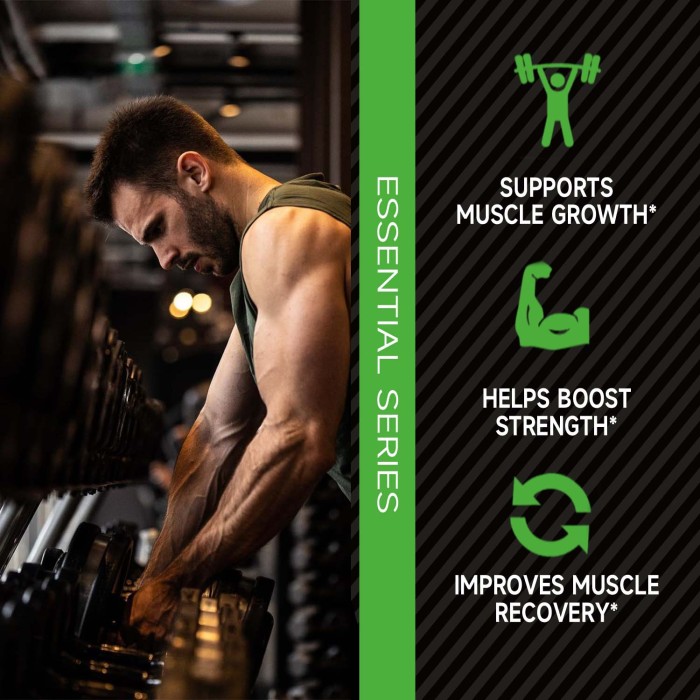 Ozmolts Mass Gainer Powder Weight Gainer Rich in 52g Protein Mass Extreme Improving Muscle Mass Creatine Monohydrate Supplements Support Muscle Recovery Banana Flavor 2 Lbs