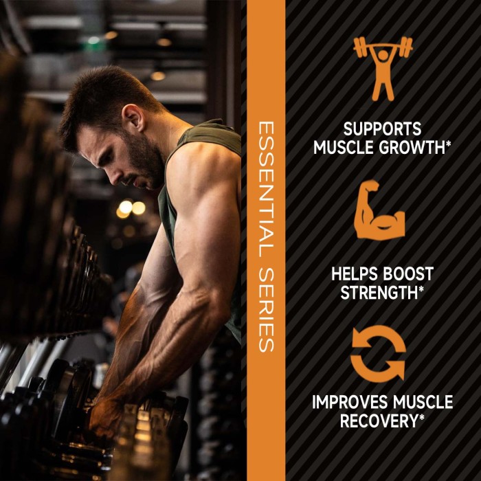 Ozmolts Creatine Monohydrate Powder Muscle Builder Supplements for Fitness Workout Drink Athlene Creatine Powder Increase Energy Caramel Latte 300g