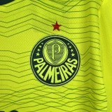 Palmeiras 2023-24 third away game