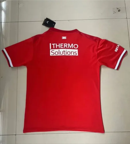 twente 2024-25 home soccer jerseys